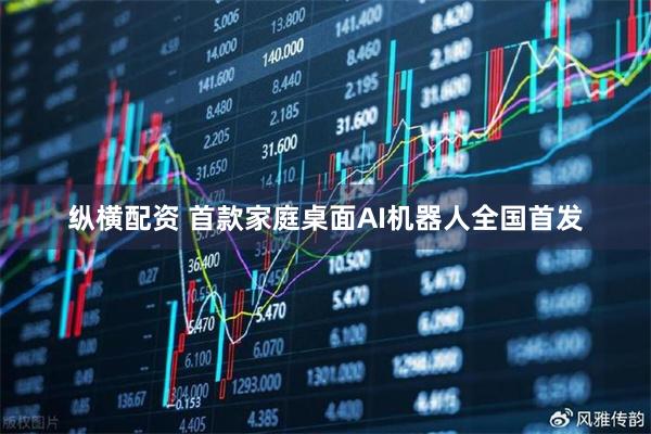 纵横配资 首款家庭桌面AI机器人全国首发