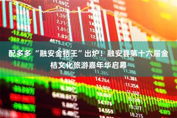 配多多 “融安金桔王”出炉!融安县第十六届金桔文化旅游嘉年华启幕