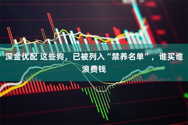 深金优配 这些狗，已被列入“禁养名单”，谁买谁浪费钱