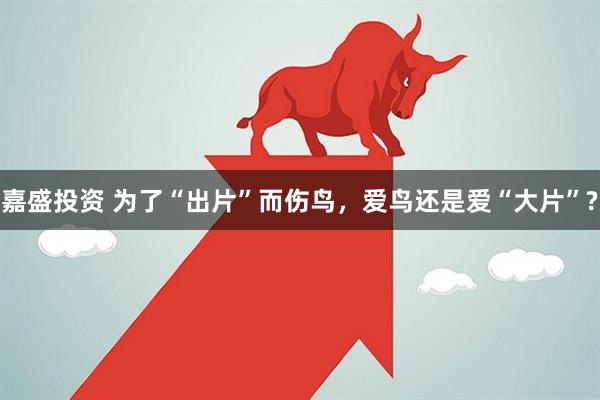嘉盛投资 为了“出片”而伤鸟，爱鸟还是爱“大片”?