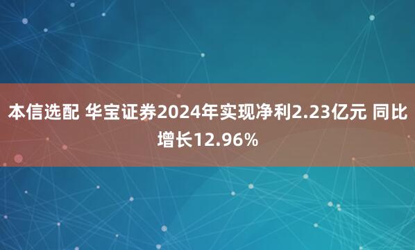 本信选配 华宝证券2024年实现净利2.23亿元 同比增长12.96%