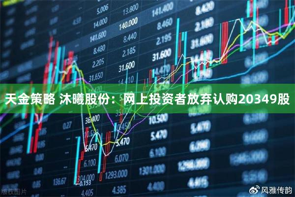 天金策略 沐曦股份：网上投资者放弃认购20349股
